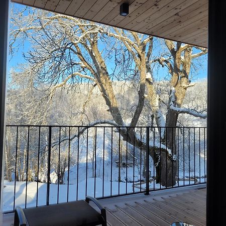 Apartman Berg Brcalnik Železná Ruda 外观 照片