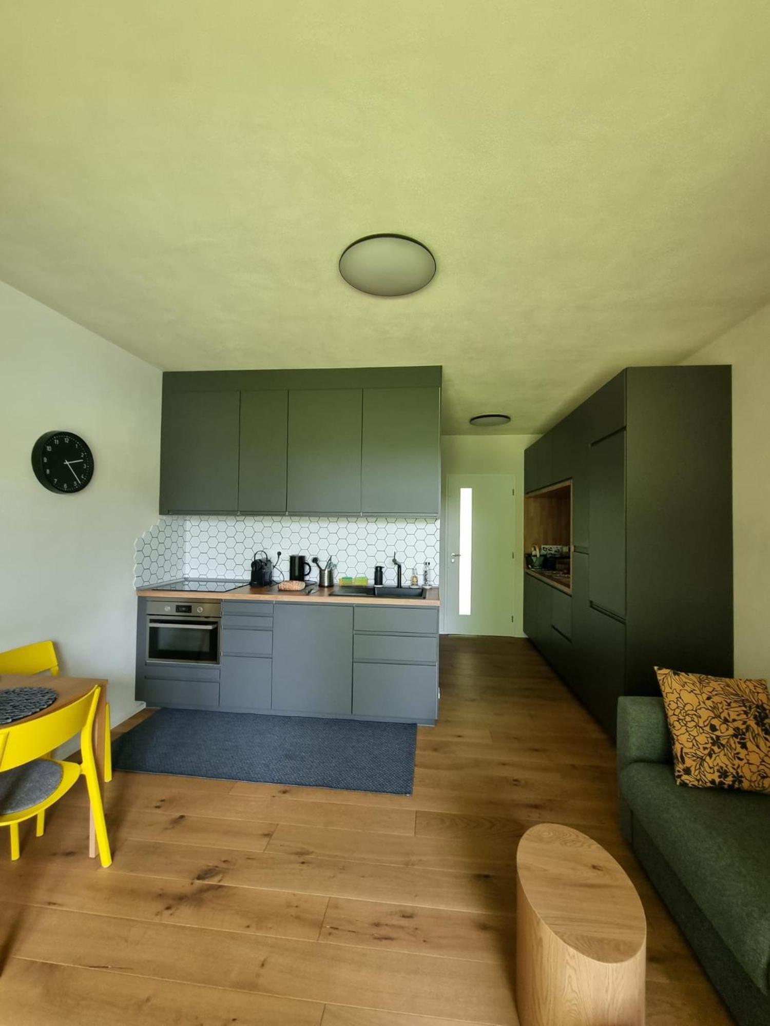 Apartman Berg Brcalnik Železná Ruda 外观 照片